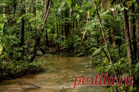 13 научных фактов, которые расширят ваши знания о мире | Болтай