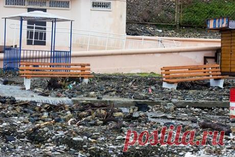 Россияне наводнили пляжи Туапсе вопреки запретам и попали на видео. Российские туристы наводнили пляжи Туапсе, закрытые для купания, и попали на видео. На кадрах видно, что россияне отдыхают как на берегу моря, так и в воде. Отмечается, что отечественные путешественники заполнили пляжи популярного российского курорта вопреки действующим запретам.