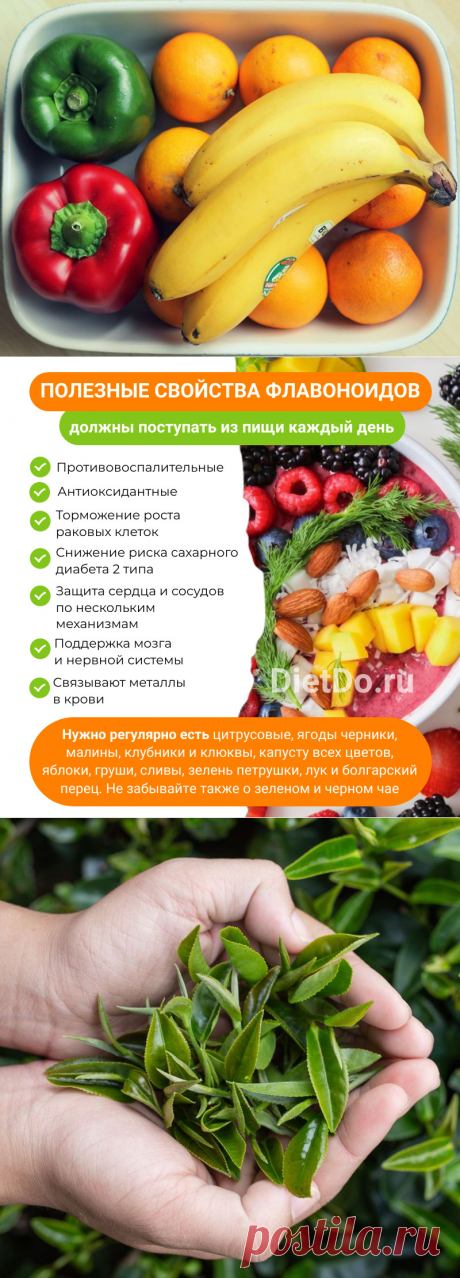 Флавоноиды: что это такое и в каких продуктах содержатся — таблица. Грамотные обзоры пользы и вреда продуктов от DietDo.ru!
