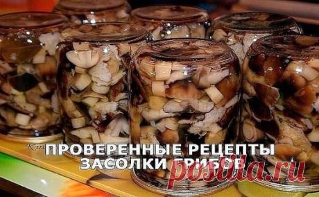 ПРОВЕРЕННЫЕ РЕЦЕПТЫ ЗАСОЛКИ ГРИБОВ
Сохраните, чтобы не потерять!