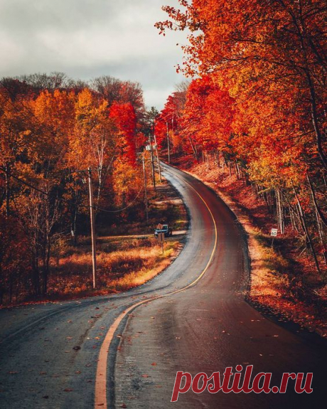 pumpkin-flavoured:
“x halloween / autumn blog x
”