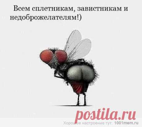 Диалоги