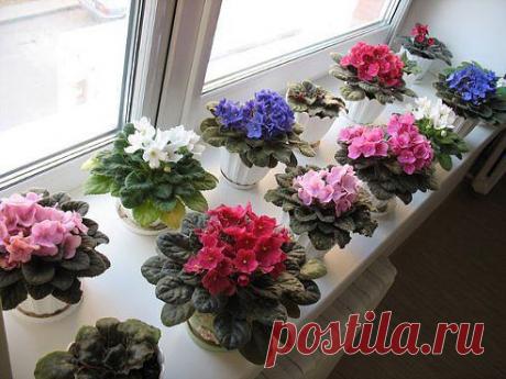 Одноклассники