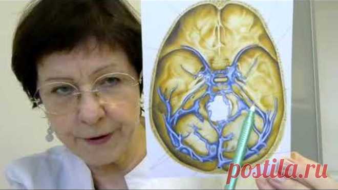 Шум в ушах, писк, звон: ответы невролога на ваши вопросы