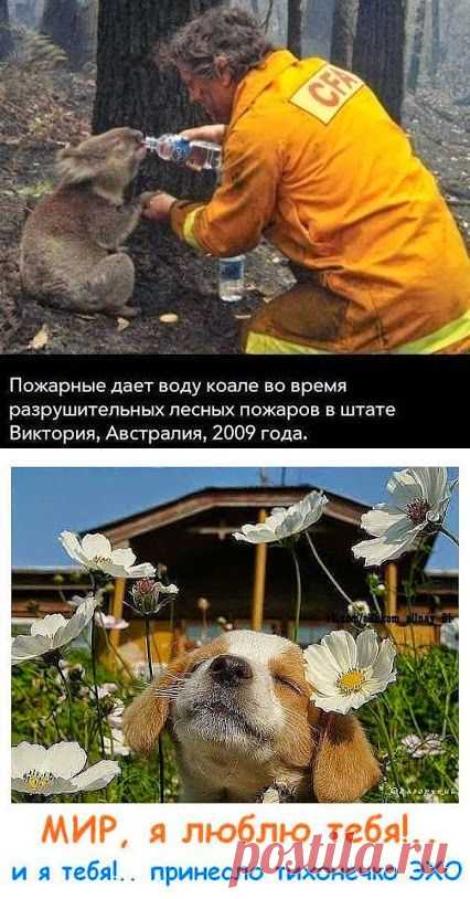 гугл