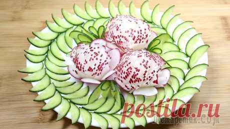 Хризантемы из редиса Как вырезать хризантему из редиса? Всё очень просто… Простая, но красивая нарезка на праздничный стол.Ингредиенты: Редис – 3-7 шт. Огурец – 1 штПриготовление: