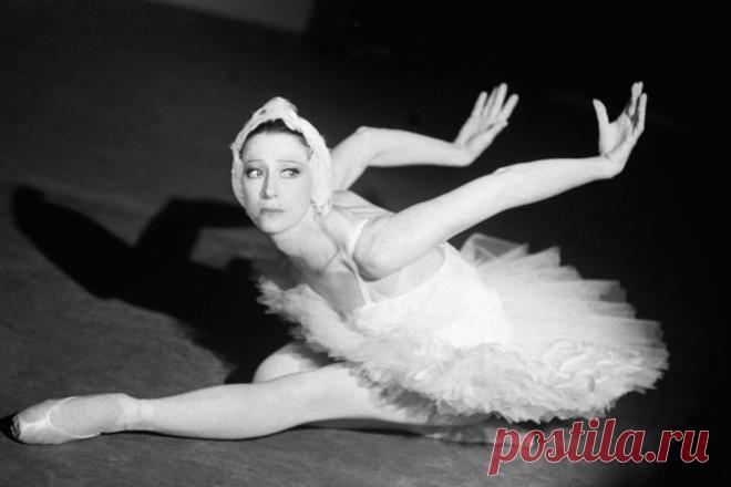 Диета Майи Плисецкой – минус 10 кг за 14 дней | SimpleSlim