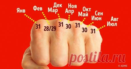 Этим хитростям нас научили еще в школе, и они до сих пор работают Вот что я завещаю правнукам.