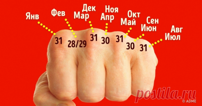 Этим хитростям нас научили еще в школе, и они до сих пор работают Вот что я завещаю правнукам.