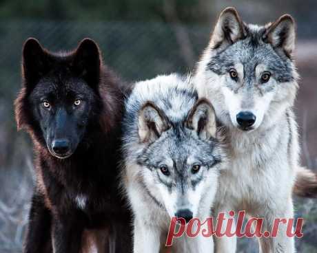 Мой Мир@Mail.Ru