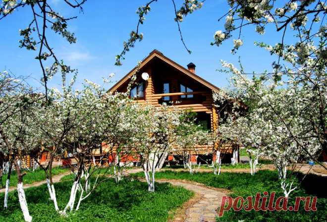 Как бороться с порослью вишни 
Вишня это растение, требующий своевременного ухода. Если уделять ей должное внимание, то никаких проблем с ней не возникнет и она всегда будет радовать владельца красивым цветением, плодородностью и …