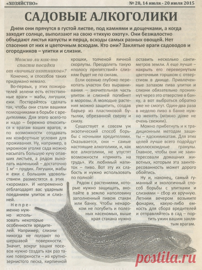 Улитки и слизни