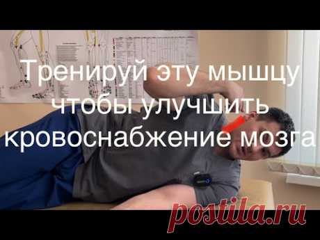 Болела голова 10 лет один раз сделал это упражнение и не болит уже 20 лет