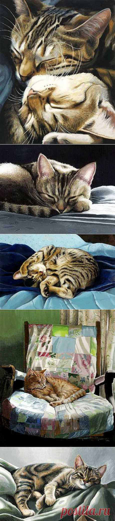 Блоги@Mail.Ru: Английская художница Celia Pike