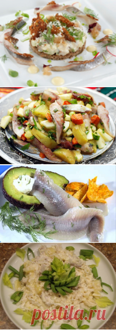 Салаты с сельдью - несколько рецептов