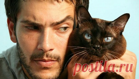 31 причина обменять жену на кошку • НОВОСТИ В ФОТОГРАФИЯХ