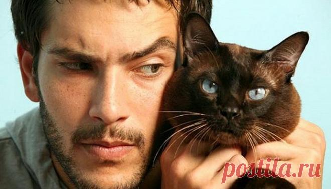 31 причина обменять жену на кошку • НОВОСТИ В ФОТОГРАФИЯХ