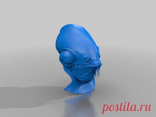 SW Admiral Ackbar Bust / Head and Body by Jace1969 - Thingiverse