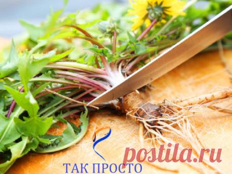 ЦЕЛЕБНЫЕ КОРНИ - ПЫРЕЙ, ОДУВАНЧИК, ЛОПУХ
