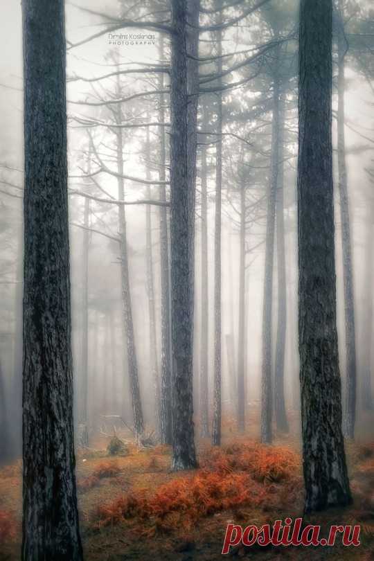 (1) Tumblr