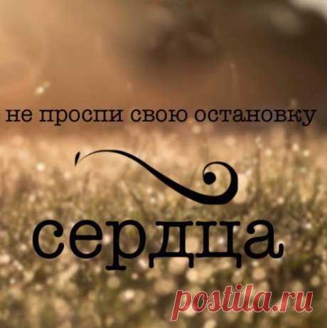 Немного мотивации на весь день