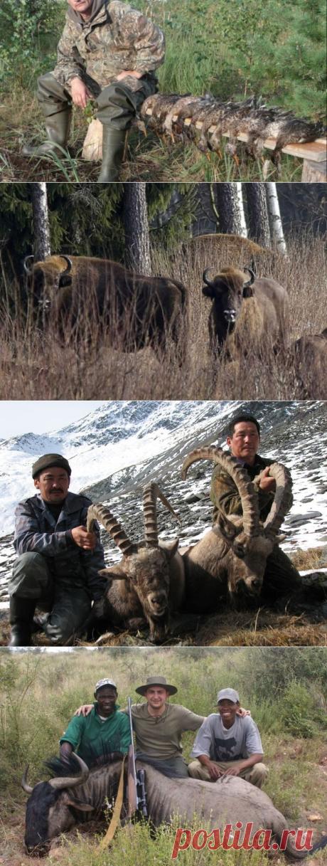 10 лучших на планете мест для охоты