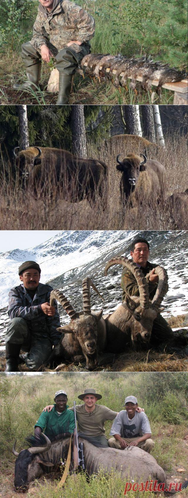 10 лучших на планете мест для охоты