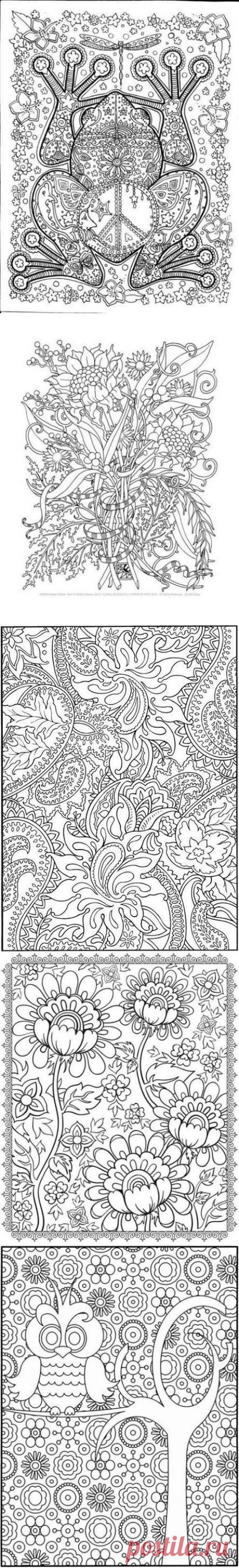 раскраски для взрослых