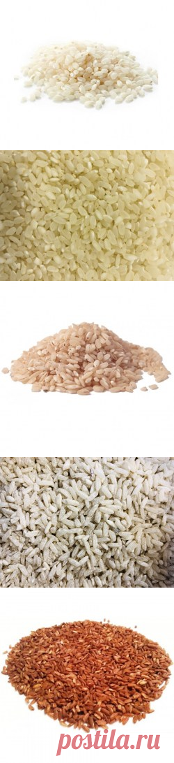 Рис купить в Москве | Шеф Орех
