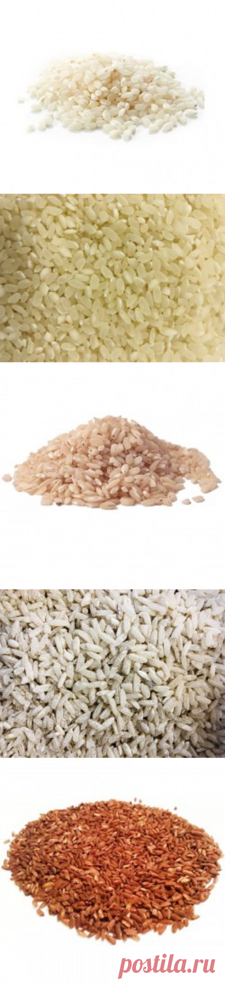 Рис купить в Москве | Шеф Орех