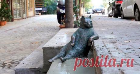 Стамбульский кот Томбили, которому поставили памятник за вальяжную позу В мире существует множество памятников животным, которые заслужили признание людей, совершив отважные поступки или послужив науке. Но есть и зверье,