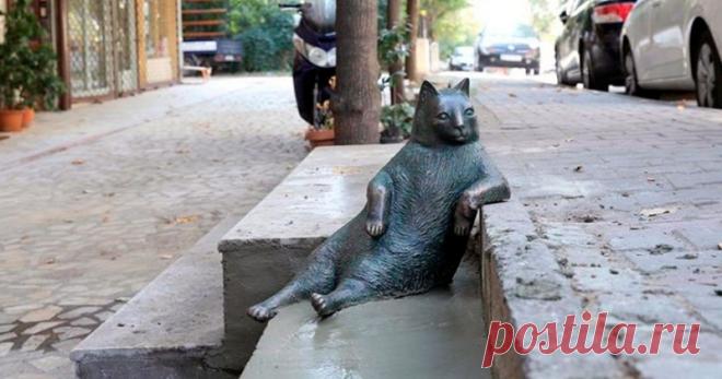 Стамбульский кот Томбили, которому поставили памятник за вальяжную позу В мире существует множество памятников животным, которые заслужили признание людей, совершив отважные поступки или послужив науке. Но есть и зверье,