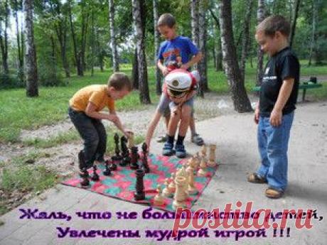 ВИДЕО-ШАХМАТИШКИ,
ЭТО ДРЕВНЯЯ, МУДРАЯ, РАЗВИВАЮЩАЯ И ОБУЧАЮЩАЯ ИГРА ИЗБРАННЫХ, МЫСЛЯЩИХ И ЖЕЛАЮЩИХ РАЗВИВАТЬСЯ ЛЮДЕЙ !!!