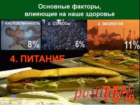 Внимание! Сегодня! В ПОНЕДЕЛЬНИК ! в 22:00 по московскому времени !!!  Всех желающих похудеть без диет и научиться правильно питаться приглашаю на ознакомительное занятие в Академию Питания https://4.ak-pitaniya.com/