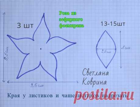 Светлана Коврина