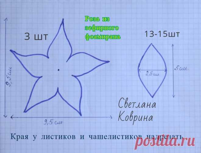 Светлана Коврина
