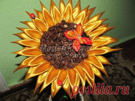 Подсолнух из кофейных зерен и лент. Мастер-класс с пошаговыми фото