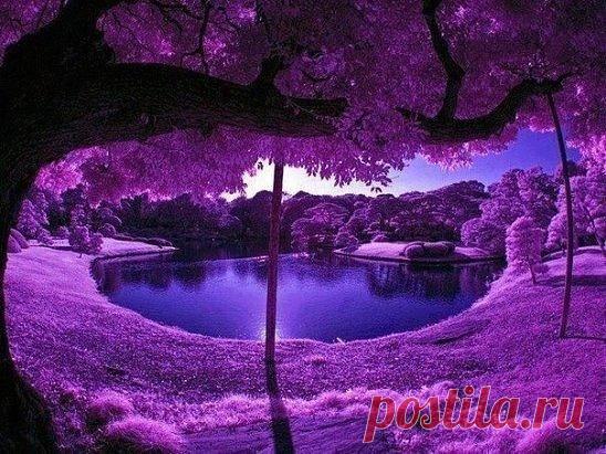 (1) Одноклассники