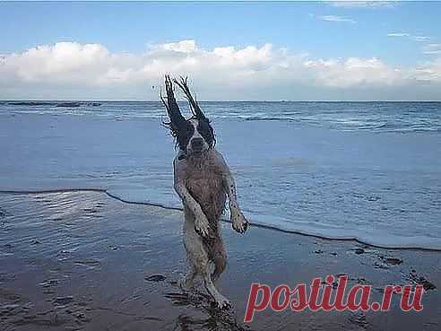 ВЕТЕР С МОРЯ ДУЛ...ВЕТЕР С МОРЯ ДУЛ...