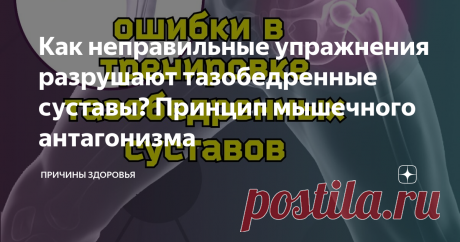 Как неправильные упражнения разрушают тазобедренные суставы? Принцип мышечного антагонизма Статья автора «Причины Здоровья» в Дзене ✍: Многие думают, что для укрепления тазобедренных суставов надо усилить мышечный корсет вокруг них. Так и есть, но как делать это правильно?