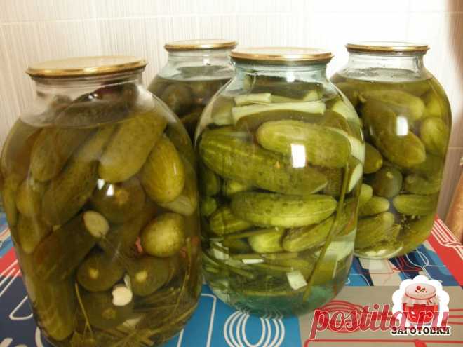 Соленые огурчики. Чтобы вкусно похрустеть зимой! 
На 3-х литровую баночку берем 2 кг. огурцов, 3 зонтика укропа, 3 шт. лаврового листа, 3 зубчика чеснока, небольшой корешок хрена, 2 листа хрена, можно еще 2 листика вишни (если есть), зелень сельдерея и петрушки и 5 горошин черного перца. 
Чистые огурчики замачиваем в воде на 6-8 часов. Затем ополаскиваем их, моем зелень и укладываем все в банку слоями: специи, огурцы, специи, огурцы и т.д.. Укроп кладем на самый верх. 
Приготовим рассол: на 1