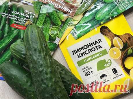 Не знала, что для успешного выращивания огурцов нужна лимонная кислота – сейчас применяю и всегда с богатым урожаем | Уральская провинция | Яндекс Дзен