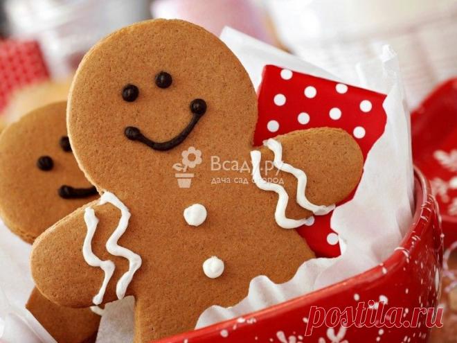 Рецепт приготовления рождественского имбирного печенья, с фото