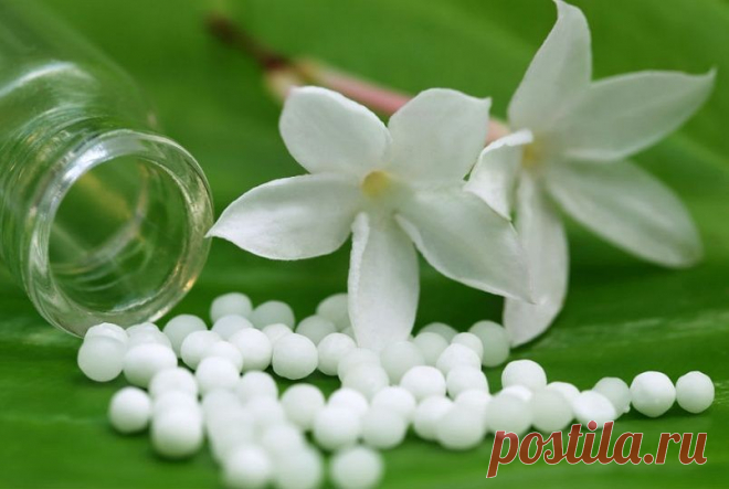 Спецрасследование от MedAboutMe!
Гомеопатия: панацея или плацебо?