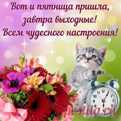 Вот и пятница настала,
Можно с легкостью вздохнуть.
Наступил конец недели,
Значит, надо отдохнуть.