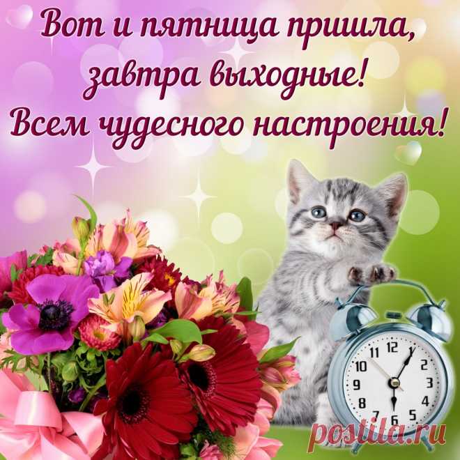 Вот и пятница настала,
Можно с легкостью вздохнуть.
Наступил конец недели,
Значит, надо отдохнуть.