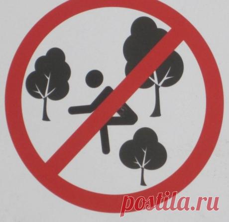Странные и смешные дорожные знаки на зарубежных дорогах