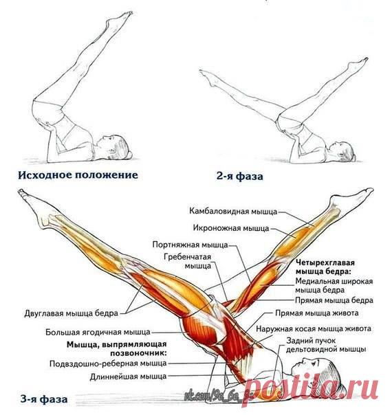Мастерская Тела - Фото Хроники | Facebook