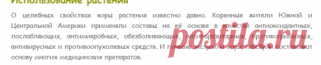 Табебуйя