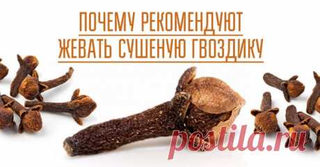 ЗАЧЕМ ЖЕВАТЬ СУШЕНУЮ ГВОЗДИКУ?